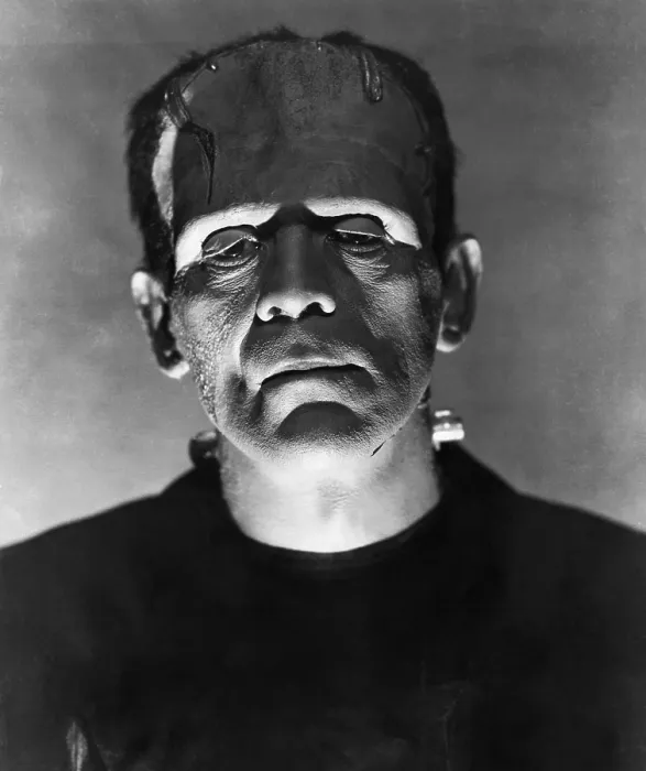 Framed Print : BRIDE OF FRANKENSTEIN, Boris Karloff, 1935