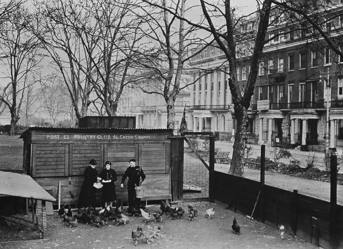 Framed Print : British poultry club Eaton Square, in the heart of fashionable Belgravia, London