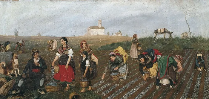 Framed Print : BRU ALBIAA, Jos (19th century). The Harvest of Saffron. 1877. Oil on canvas. SPAIN. Valencia. San Pio V Fine Arts Museum. AISA / Everett Collection**US SALES ONLY**