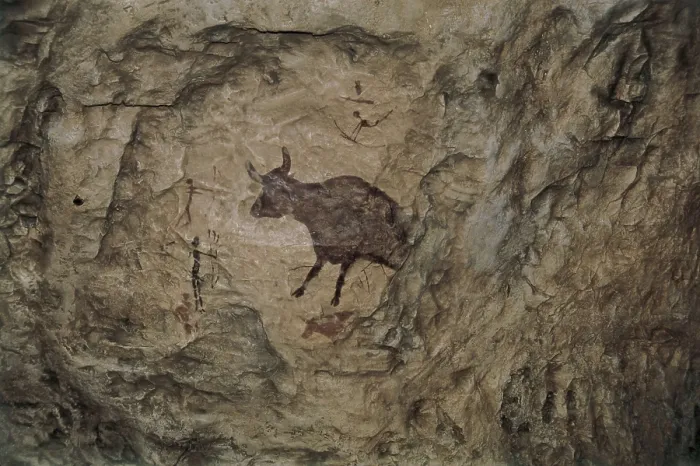 Framed Print : Bull in Levantine naturalistic style from Abrigo Mas d'en Ramon d'en Bess. Mesolithic art. Cave. SPAIN. Montblanc. Conca de Barber Regional Museum. Proc: SPAIN. Montblanc