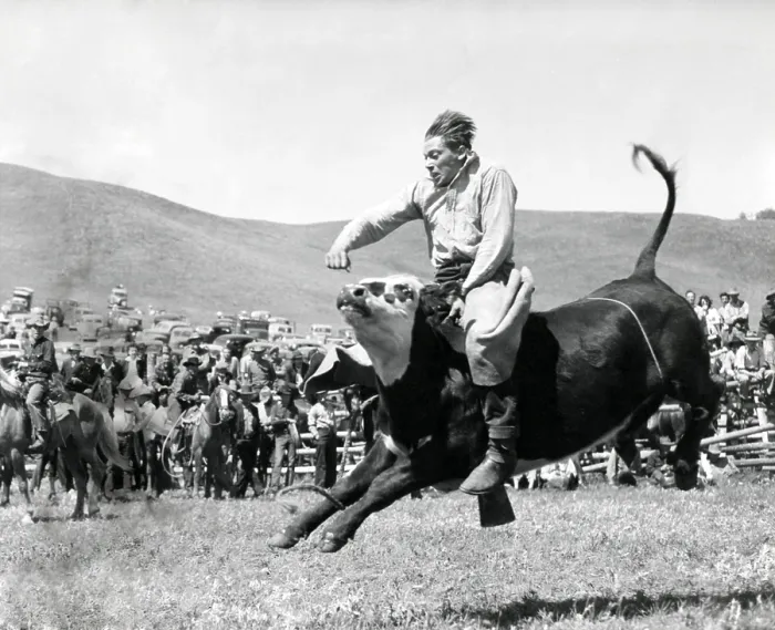 Framed Print : Bull Rider at American Rodeo. Ca. 1950. - (BSLOC_2014_17_112) Framed Print : Bull Rider at American Rodeo. Ca. 1950. - (BSLOC_2014_17_112)