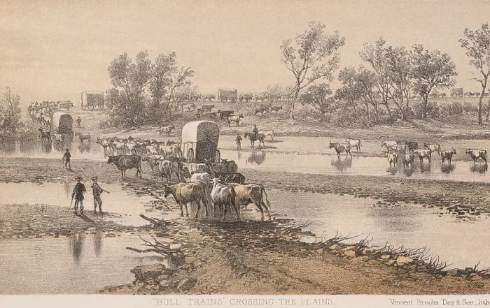 Framed Print : BULL TRAINS CROSSING THE PLAINS, 1867-68. Teams of oxen pull the wagons of the US Geographical Survey Expedition for a southern railroad to the Pacific Ocean (BSLOC_2019_9_197)