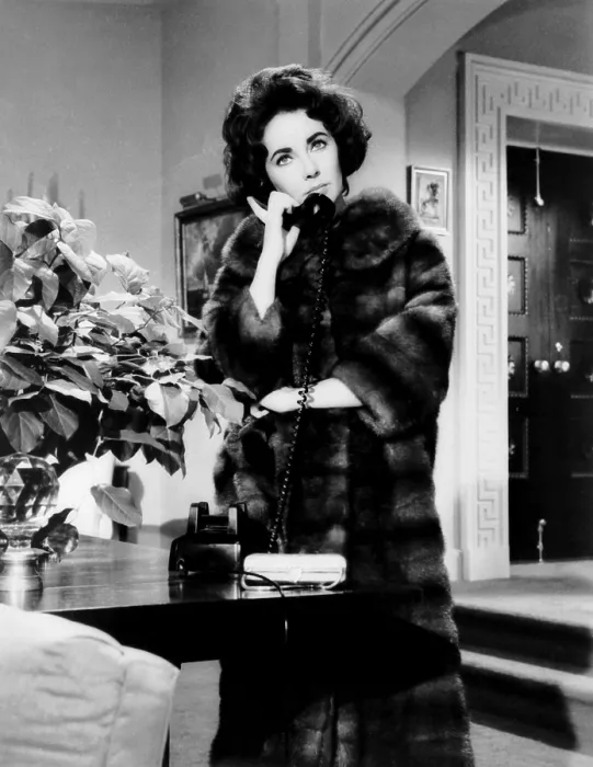 Framed Print : BUTTERFIELD 8, Elizabeth Taylor, 1960