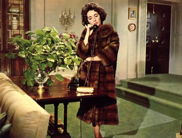 Framed Print : BUTTERFIELD 8, Elizabeth Taylor, 1960 Framed Print : BUTTERFIELD 8, Elizabeth Taylor, 1960