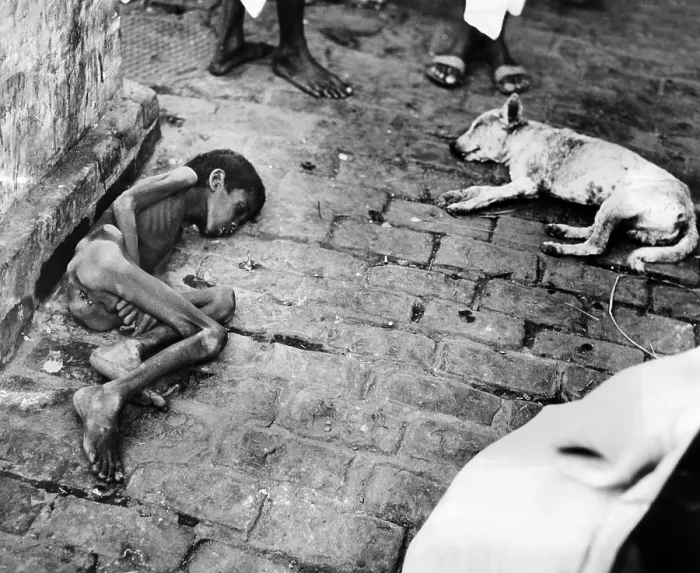 Framed Print : In Calcutta at the peak of India's famine in late October 1943. A dead Hindu boy and his dog await removal. (CSU_ALPHA_1460) CSU Archives / Everett Collection