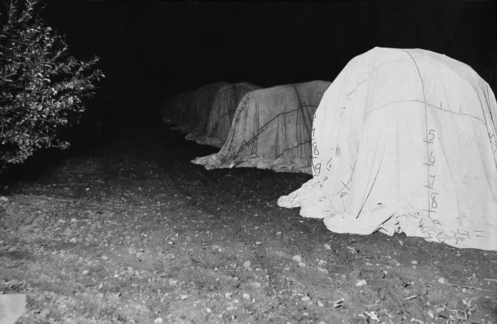 Framed Print : California, California Citrus Heritage Recording Project, tenting of citrus trees at night, Riverside County, circa 1930s Framed Print : California, California Citrus Heritage Recording Project, tenting of citrus trees at night, Riverside County, circa 1930s