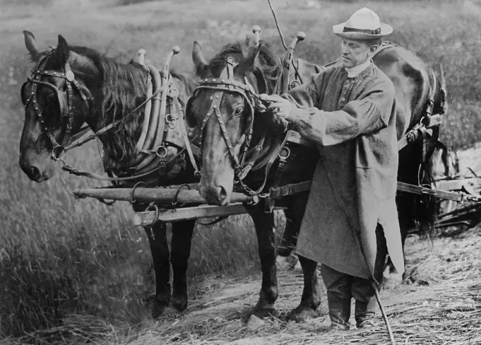 Framed Print : Calvin Coolidge adjusting a horse's harness on his father's farm in Plymouth, Vermont. Ca. 1920-23 Framed Print : Calvin Coolidge adjusting a horse's harness on his father's farm in Plymouth, Vermont. Ca. 1920-23