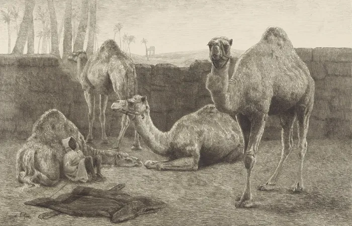 Framed Print : Camels, by August Le Gras, 1886, print, etching on paper