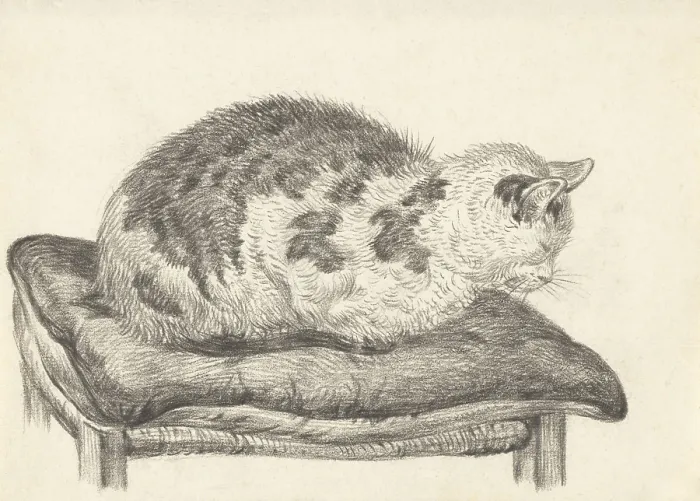 Framed Print : Cat Lying on a Cushion, Facing Left, by Jean Bernard, 1828, Dutch chalk drawing. (BSLOC_2016_1_269) Framed Print : Cat Lying on a Cushion, Facing Left, by Jean Bernard, 1828, Dutch chalk drawing. (BSLOC_2016_1_269)