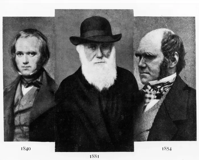 Framed Print : Charles Darwin (1809-1882), at age 31 in 1840 (L), age 72 in 1881 (M), age 45 in 1854 (R). Courtesy: CSU Archives / Everett Collection Framed Print : Charles Darwin (1809-1882), at age 31 in 1840 (L), age 72 in 1881 (M), age 45 in 1854 (R). Courtesy: CSU Archives / Everett Collection