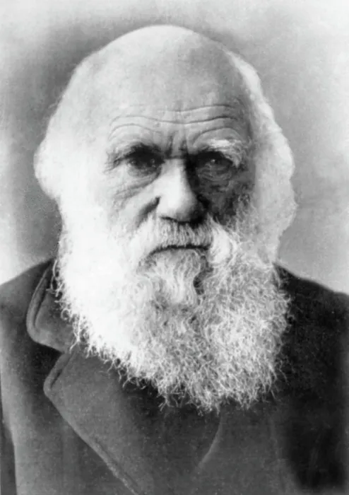 Framed Print : Charles Darwin (1809-1882), circa 1870s-1980s. Courtesy: CSU Archives / Everett Collection Framed Print : Charles Darwin (1809-1882), circa 1870s-1980s. Courtesy: CSU Archives / Everett Collection