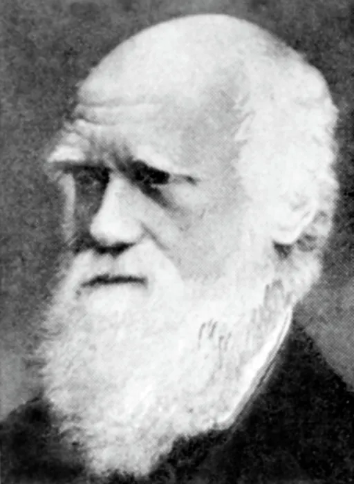 Framed Print : Charles Darwin (1809-1882), circa 1870s-1980s. Courtesy: CSU Archives / Everett Collection Framed Print : Charles Darwin (1809-1882), circa 1870s-1980s. Courtesy: CSU Archives / Everett Collection