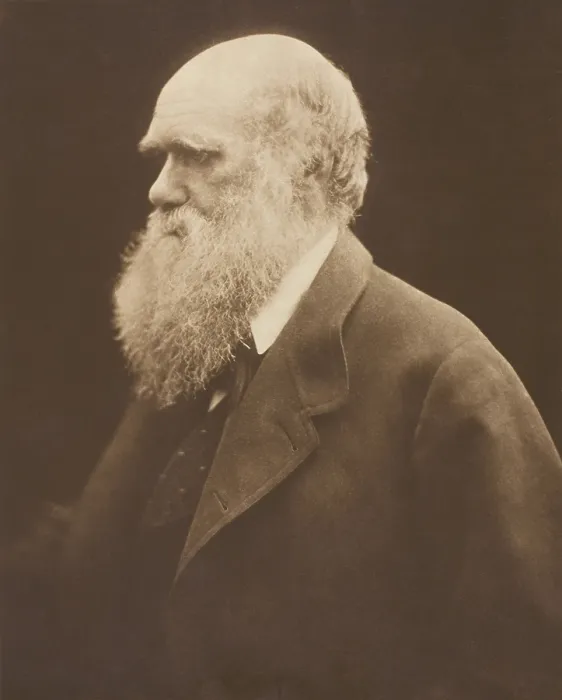 Framed Print : Charles Darwin, ca. 1868, by Julia Margaret Cameron. The author of On the Origin of Species at age 69