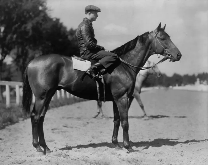 Framed Print : Charles S. Howard's favorite picture of Seabiscuit, taken at Saratoga with Red Pollard up. Photo by Bert Clark Thayer, March 30, 1938. (BSLOC_2013_9_35)