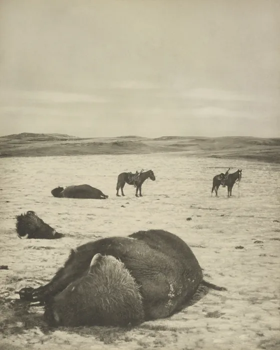 Framed Print : AFTER THE CHASE, NORTH MONTANA RANGE, January, 1882, by Laton Alton Huffman, photogravure Framed Print : AFTER THE CHASE, NORTH MONTANA RANGE, January, 1882, by Laton Alton Huffman, photogravure