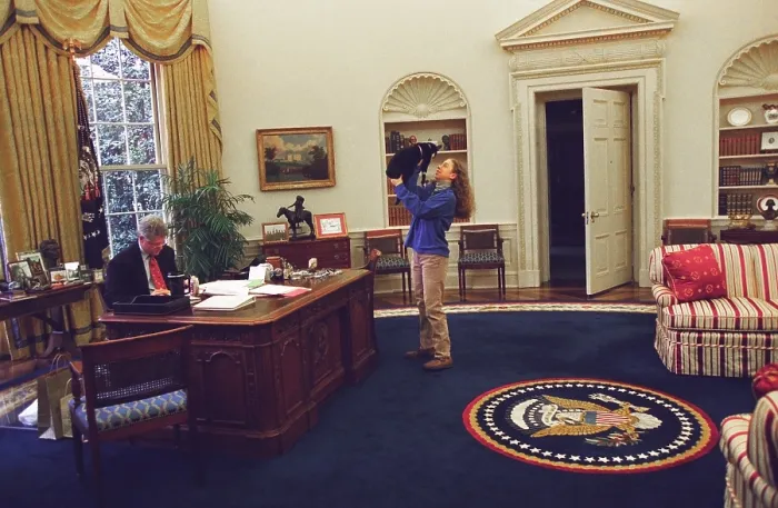 Framed Print : Chelsea Clinton Playing with Socks the Cat in the Oval Office. At left, President Bill Clinton Works at his desk. Dec. 24, 1994. (BSLOC_2015_2_201)