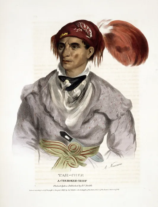 Framed Print : Cherokee Tribe. Tah-chee, a Cherokee chief. Hand-colored lithograph copy of a portrait painted by Albert Newsam. 1837 Framed Print : Cherokee Tribe. Tah-chee, a Cherokee chief. Hand-colored lithograph copy of a portrait painted by Albert Newsam. 1837