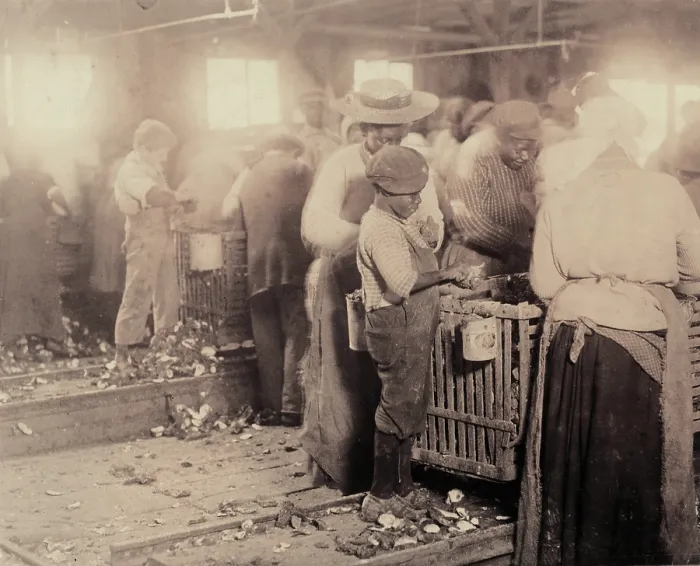 Framed Print : Child labor, an African American boy shucking oyesters, original caption: One of the smallest negro oyster shuckers that I found on the Atlantic Coast