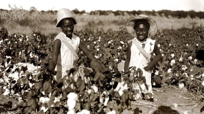 Framed Print : Children picking cotton, late 1800s. Courtesy: CSU Archives  /  Everett Collection