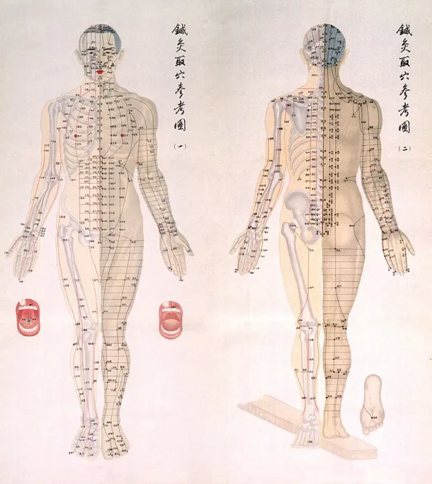 Framed Print : Chinese chart of acupuncture points on a male body, with bones are depicted on half of his body and muscles on the other half. Acupuncture points are noted all across the body