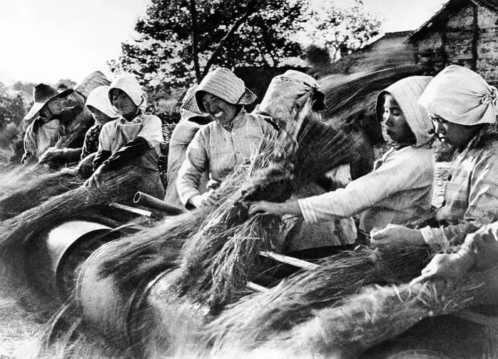 Framed Print : Chinese women peasants thresh rice by hand with traditional technology. May 1970. (CSU_ALPHA_1367) CSU Archives / Everett Collection