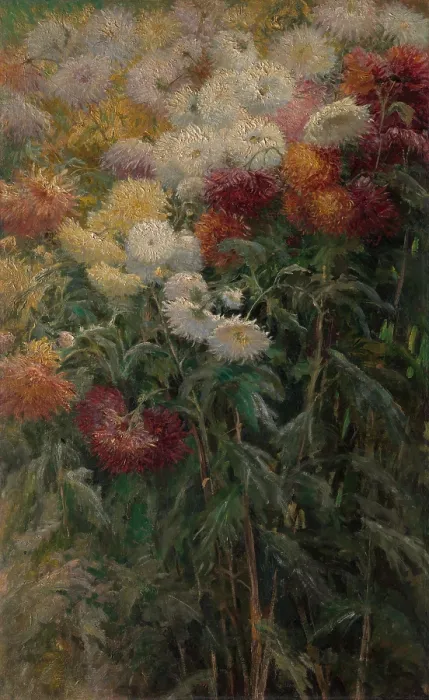 Framed Print : Chrysanthemums in the Garden, by Gustave Caillebotte, 1893, French impressionist painting, oil on canvas