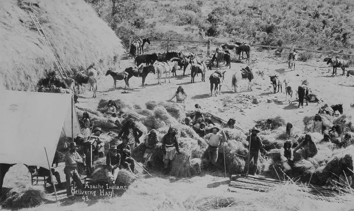Framed Print : Cibecue Apaches and / or White Mountain Apaches deliver hay at Fort Apache, Arizona, in 1893. Photo by C. A. Merkey