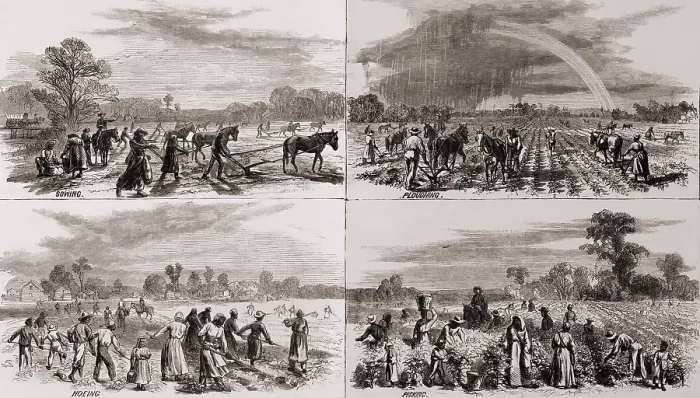 Framed Print : After the Civil War many African Americans continued to work on the plantations where they had been slaves. In 1867, artist A.R