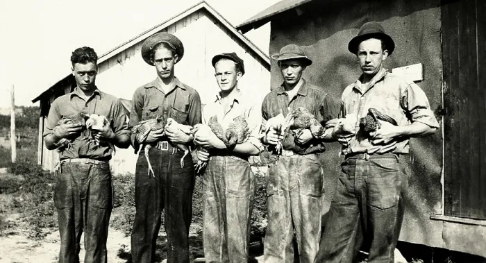 Framed Print : Civilian Conservation Corps (CCC) in Jonesville, Virginia, ca. 1935. The young men of CCC Company 2380 are in a poultry raising program. (BSLOC_2013_7_69)