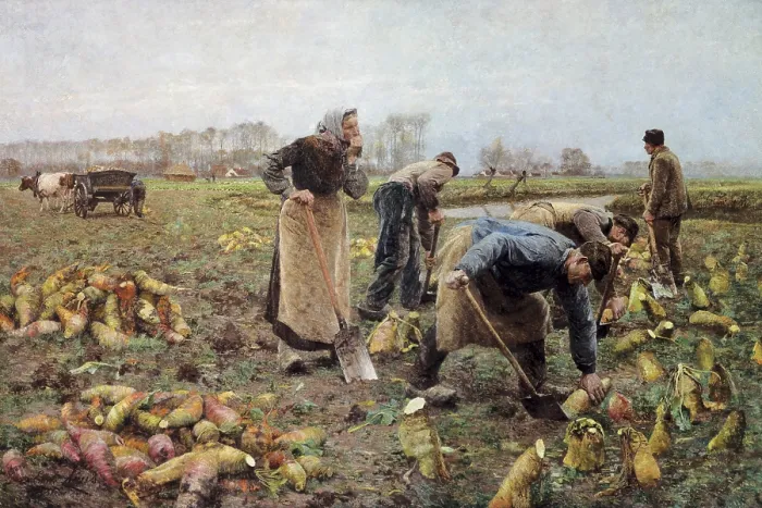 Framed Print : CLAUS, Emile (1849-1924). The Beet Harvest. 1890. Impressionism. Oil on canvas. BELGIUM. Deinze. Museum of Deinze and the Leie region