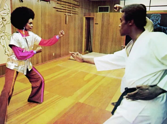 Framed Print : CLEOPATRA JONES, Tamara Dobson, (left), 1973 Framed Print : CLEOPATRA JONES, Tamara Dobson, (left), 1973