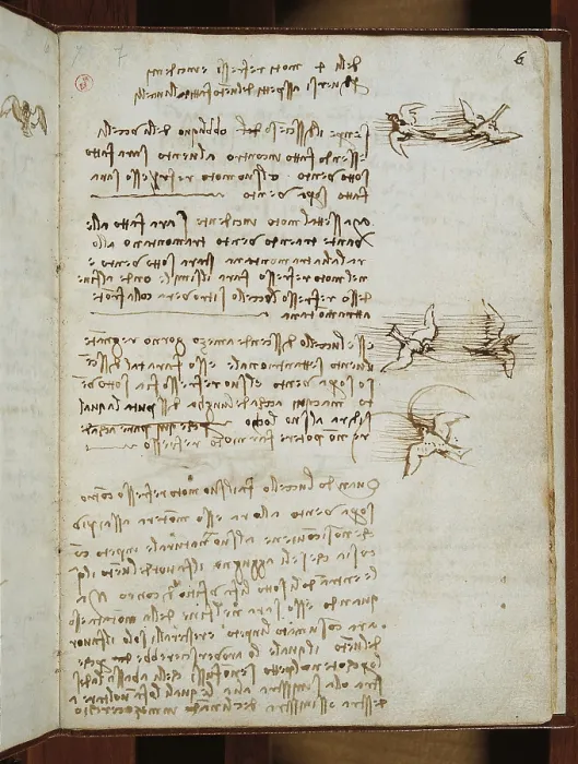 Framed Print : Codex on the Flight of Birds, by Leonardo da Vinci, 16th Century, 1505 -1506, paper manuscript, mm 213 x 153 - Italy, Piemonte, Turin, Royal Library, Varia 95 c. 6r