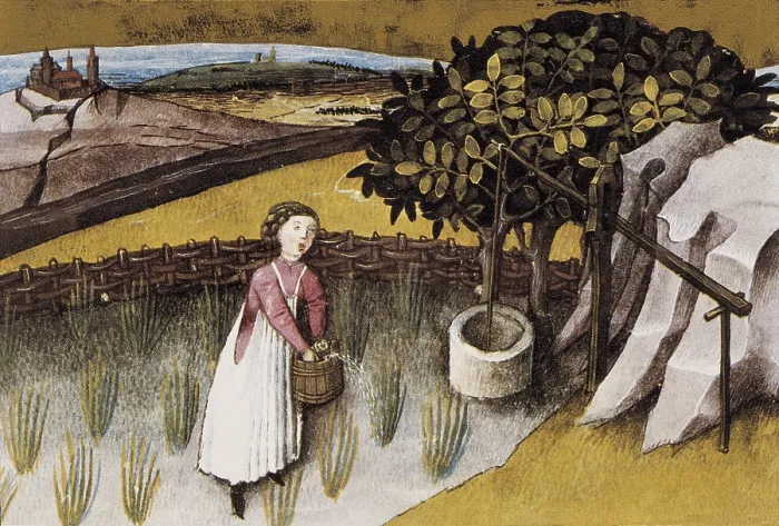 Framed Print : Codex Granatensis: De natura rerum. 1400. Illustration about garlic. Edition of Granada of the original of the 13th C. Gothic art. Miniature Painting. SPAIN. Granada Framed Print : Codex Granatensis: De natura rerum. 1400. Illustration about garlic. Edition of Granada of the original of the 13th C. Gothic art. Miniature Painting. SPAIN. Granada
