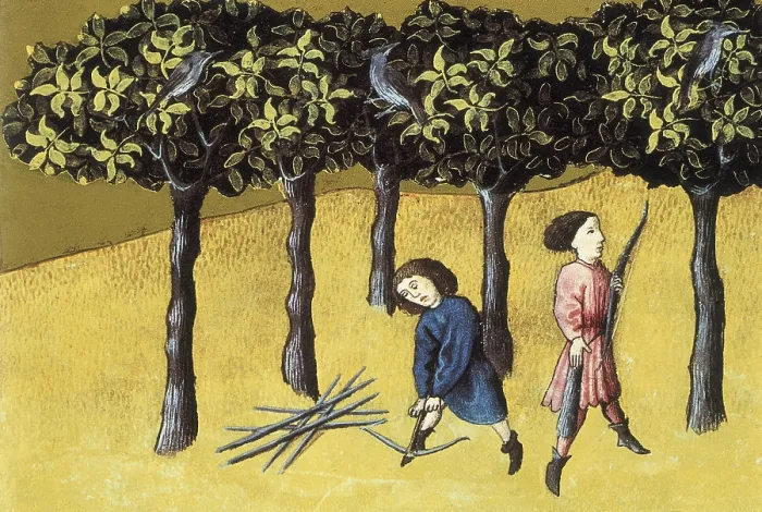 Framed Print : Codex Granatensis: De natura rerum. 1400. Illustration about the Yew. Edition of Granada of the original of the 13th C. Gothic art. Miniature Painting. SPAIN. Granada Framed Print : Codex Granatensis: De natura rerum. 1400. Illustration about the Yew. Edition of Granada of the original of the 13th C. Gothic art. Miniature Painting. SPAIN. Granada