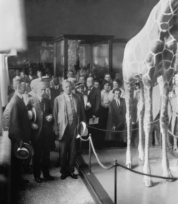 Framed Print : Col. Theodore Roosevelt at a ceremony at National Museum, c. 1914-1917