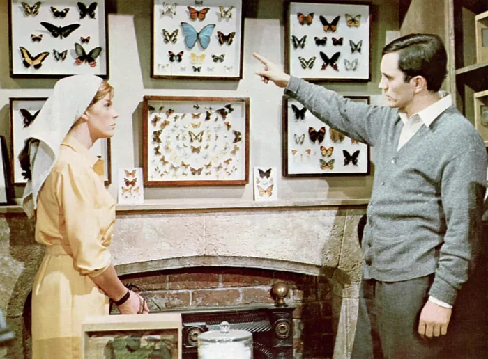 Framed Print : THE COLLECTOR, from left: Samantha Eggar, Terence Stamp, 1965