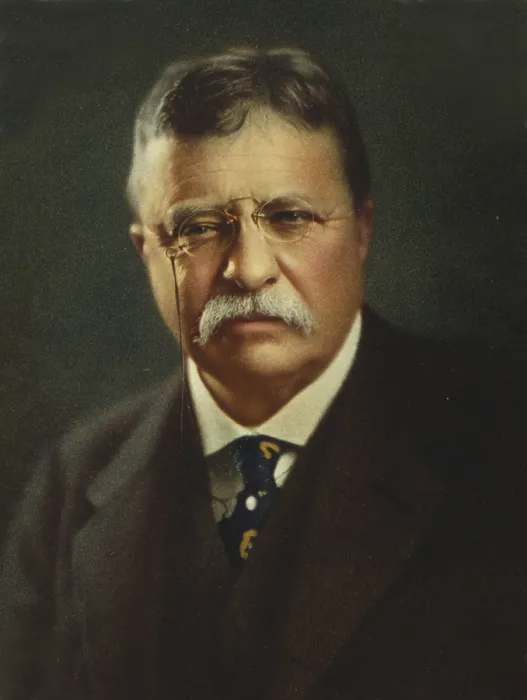 Framed Print : Commemorative portrait of President Theodore Roosevelt, published after his death in 1919