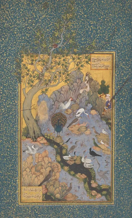 Framed Print : CONCOURSE OF THE BIRDS, by Habiballah of Sava, 17th c. Iranian painting, opaque watercolor on paper