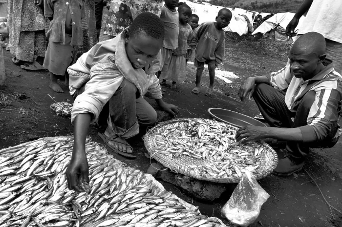 Framed Print : CONGO, Democratic Republic of the. NORTH KIVU. Democratic Republic of the Congo (2008). Kivu Conflict. Refugee camp of Buhimba (17000 people) Framed Print : CONGO, Democratic Republic of the. NORTH KIVU. Democratic Republic of the Congo (2008). Kivu Conflict. Refugee camp of Buhimba (17000 people)