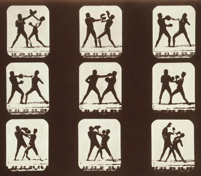 Framed Print : Consecutive images of two men boxing. From Eadweard Muybridge's, THE ATTITUDES OF ANIMALS IN MOTION, 1881 Framed Print : Consecutive images of two men boxing. From Eadweard Muybridge's, THE ATTITUDES OF ANIMALS IN MOTION, 1881