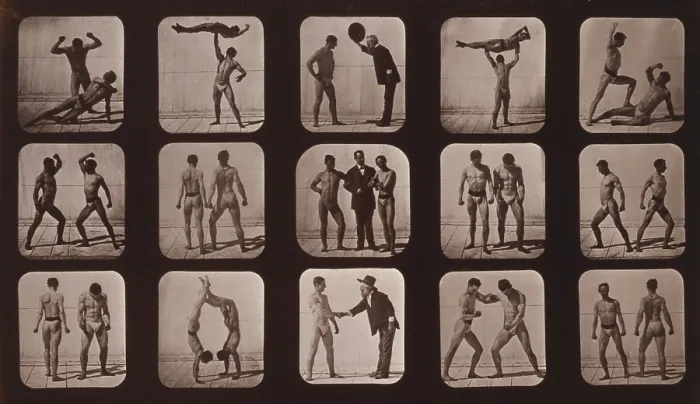 Framed Print : Consecutive images of men doing acrobatics, gesturing, and posturing. From Eadweard Muybridge's, THE ATTITUDES OF ANIMALS IN MOTION, 1881