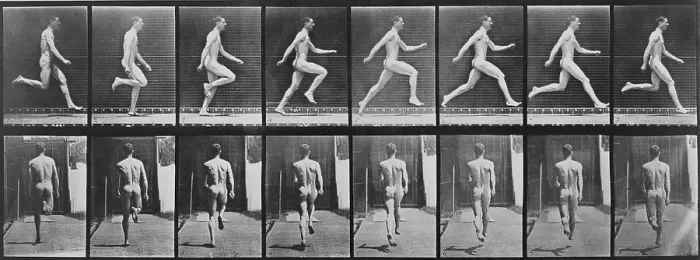 Framed Print : Consecutive images of a nude man running. From Eadweard Muybridge's, ANIMAL LOCOMOTION, 1887 Framed Print : Consecutive images of a nude man running. From Eadweard Muybridge's, ANIMAL LOCOMOTION, 1887