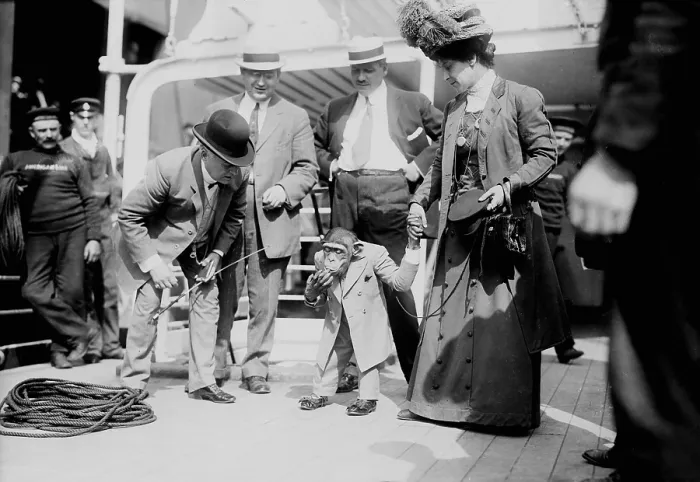 Framed Print : Consul Peter - a monkey who is smoking on a boat. 1909 Framed Print : Consul Peter - a monkey who is smoking on a boat. 1909