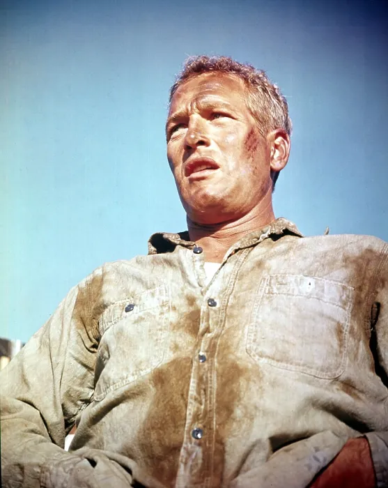 Framed Print : COOL HAND LUKE, Paul Newman, 1967 Framed Print : COOL HAND LUKE, Paul Newman, 1967