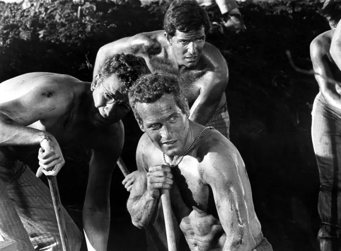 Framed Print : COOL HAND LUKE, Paul Newman, 1967