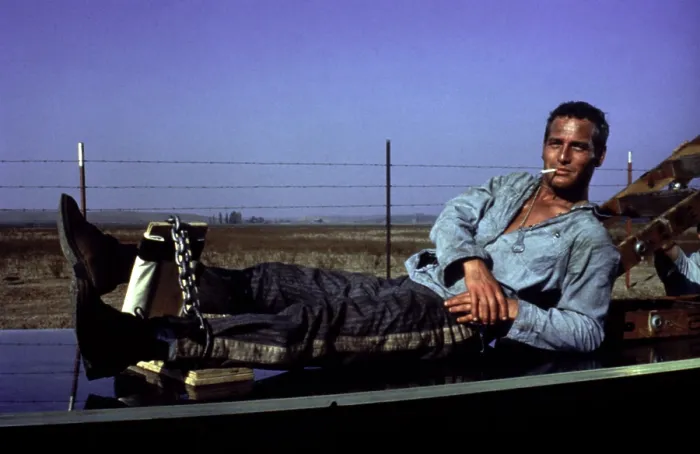 Framed Print : COOL HAND LUKE, Paul Newman, 1967, leg irons