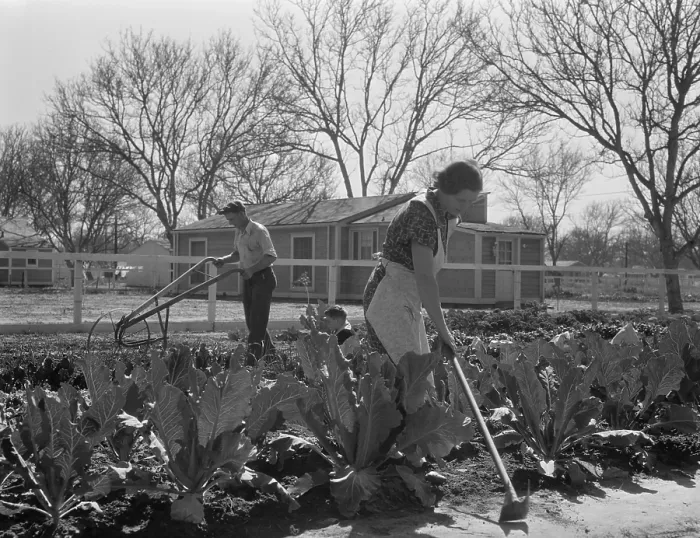 Framed Print : Couple gardening near their New Deal homestead, El Monte, California, Feb. 1936. Residents were encouraged to grow their own vegetables Framed Print : Couple gardening near their New Deal homestead, El Monte, California, Feb. 1936. Residents were encouraged to grow their own vegetables