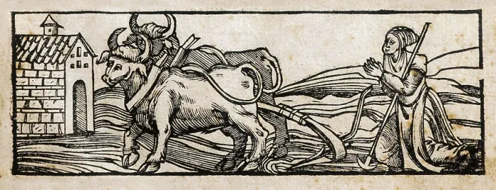 Framed Print : Cover of 'Libro de Agricultura' (Book of Agriculture), written in 1513. Edition printed in Valladolid in 1563. Representation a a farmer ploughing. Engraving. SPAIN