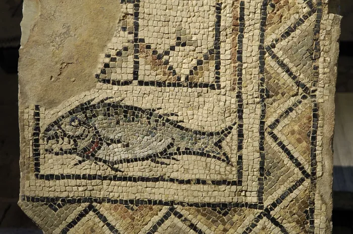 Framed Print : CROATIA. Porec. Euphrasian Basilica (6th c.). Mosaic of a fish, symbol of the early christians. Early Byzantine art. Mosaic. AISA / Everett Collection**US SALES ONLY**