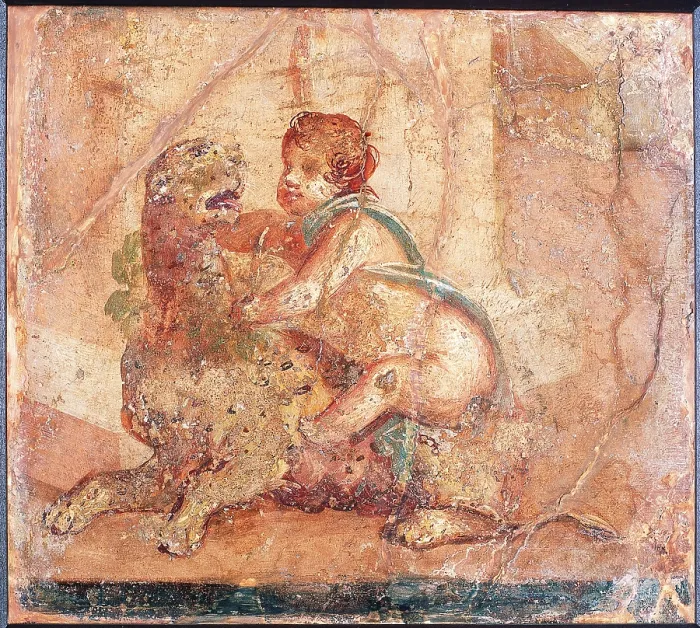 Framed Print : Cupid with Panther, by unknown artist, 62-79, 1st Century A.D. ripped fresco, 35 x 37 cm - Italy, Campania, Naples, National Archaeological Museum, Room LXVIII, inv. 9122